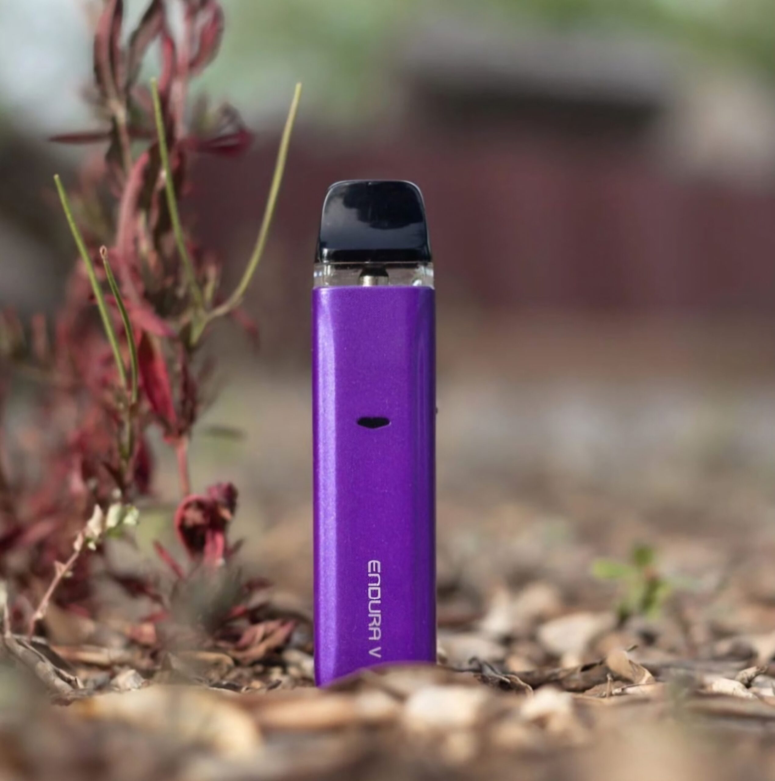 Screenshot_20240710_185904_Instagram